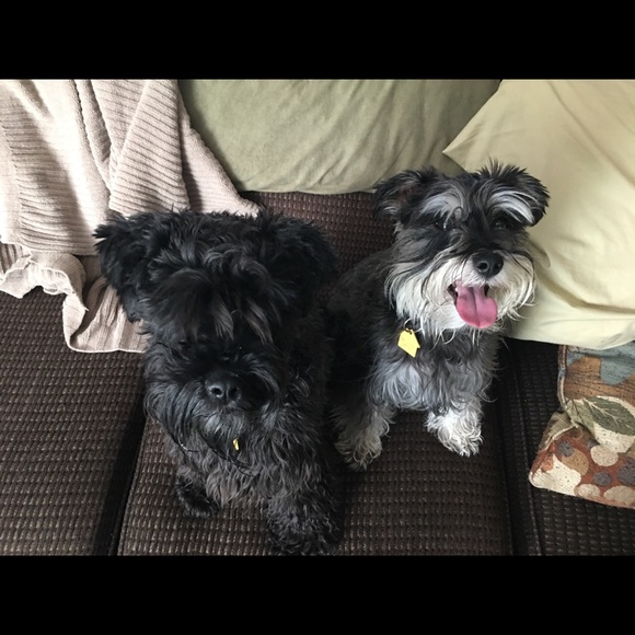 sleepingschnauz